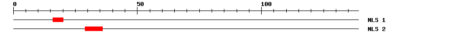 NLS
