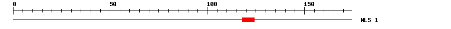 NLS