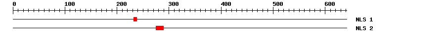 NLS