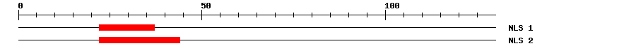 NLS