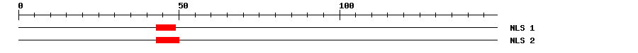 NLS