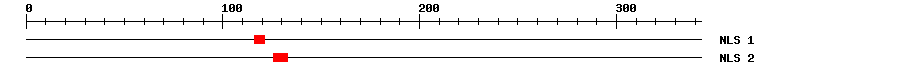 NLS