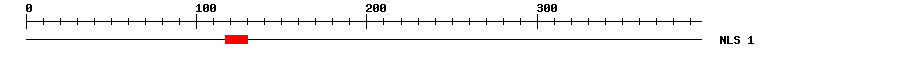 NLS