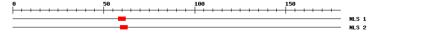 NLS