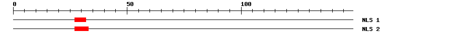 NLS
