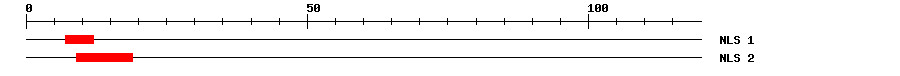 NLS