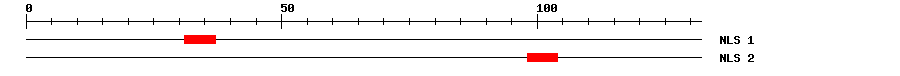 NLS