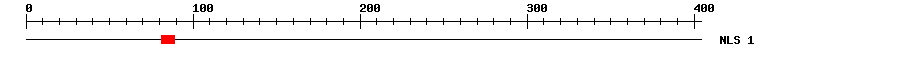 NLS