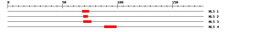 NLS