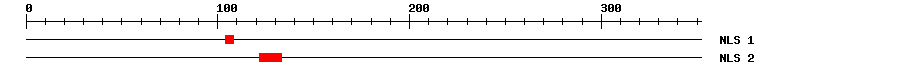 NLS