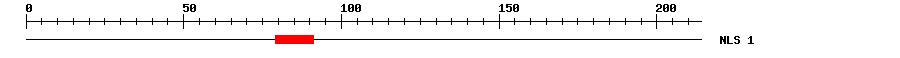 NLS