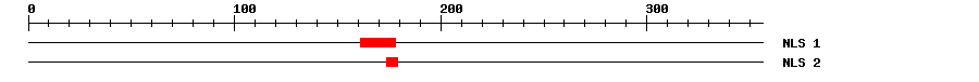 NLS