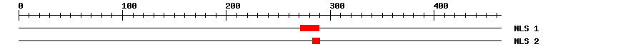 NLS