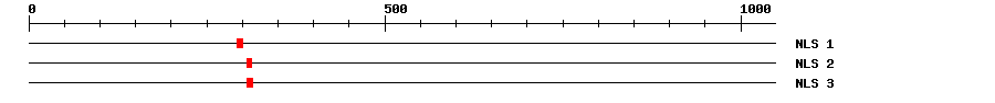 NLS