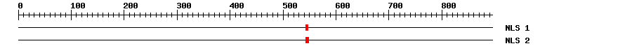 NLS