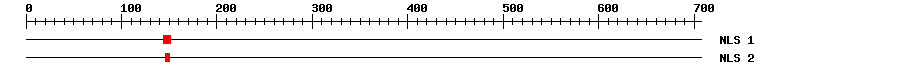 NLS