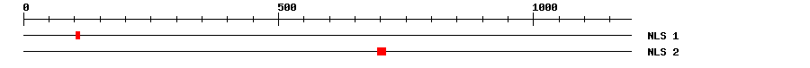 NLS