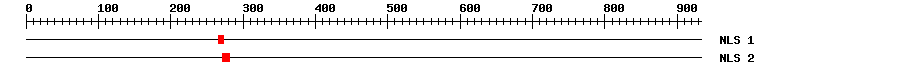 NLS