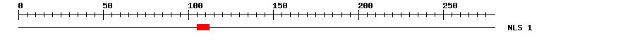 NLS