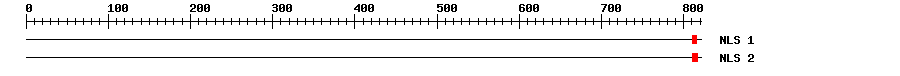 NLS