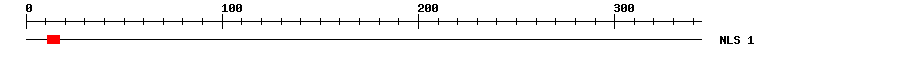 NLS