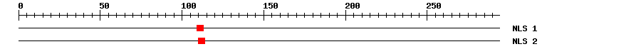 NLS