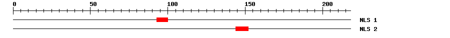 NLS