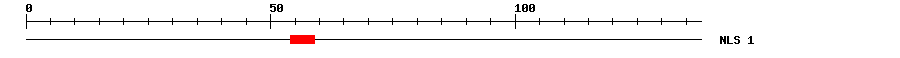 NLS
