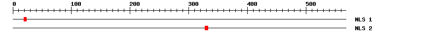 NLS