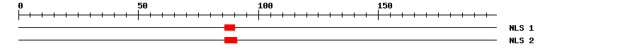NLS