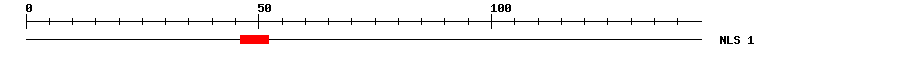 NLS