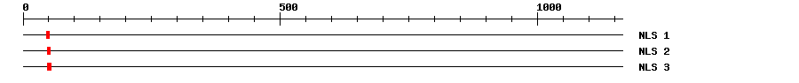 NLS