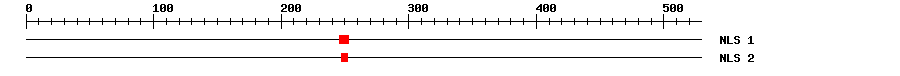 NLS