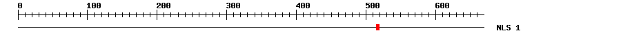 NLS