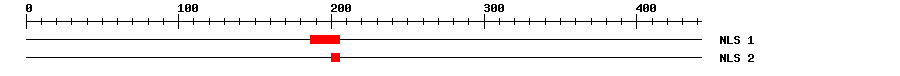 NLS