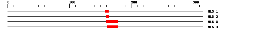 NLS