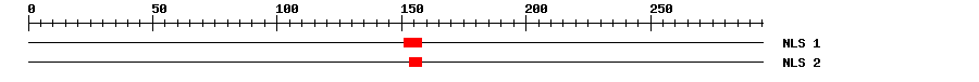 NLS