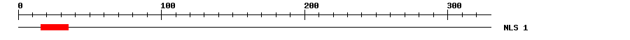 NLS
