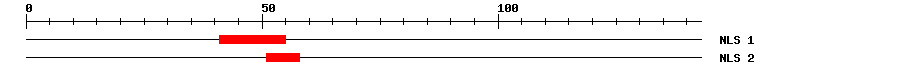 NLS