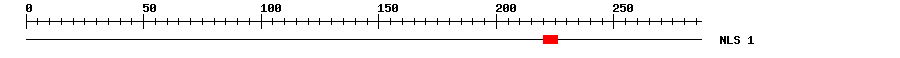 NLS