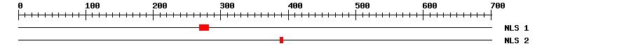 NLS
