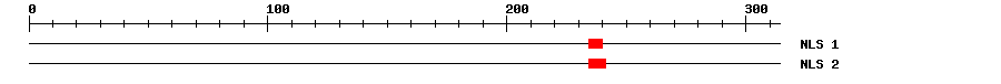 NLS