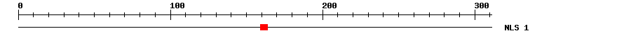 NLS