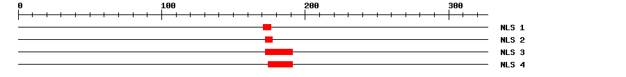 NLS