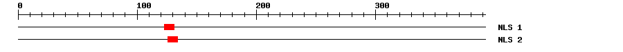 NLS