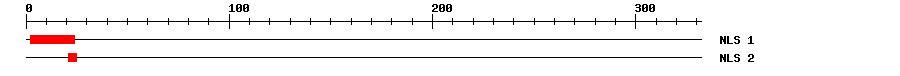 NLS