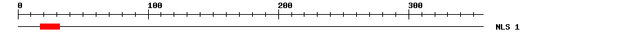 NLS
