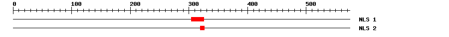 NLS