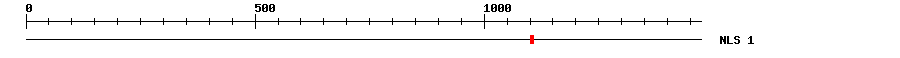 NLS