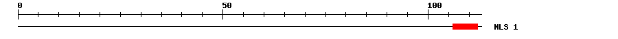 NLS